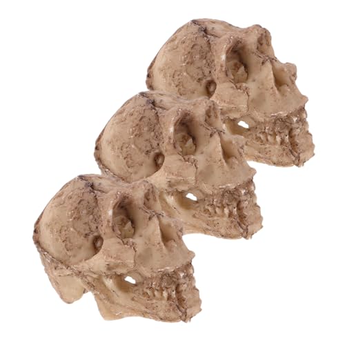 Homoyoyo 3 Stück Teiliges Aquarium-schädel-dekor aus Resin Naturnahe Terrarium-skulptur Kompakte Versteckhöhle für Reptilien Kleine Fisch Garnelenbecken Beige Fördert Natürliches Verhalten von Homoyoyo