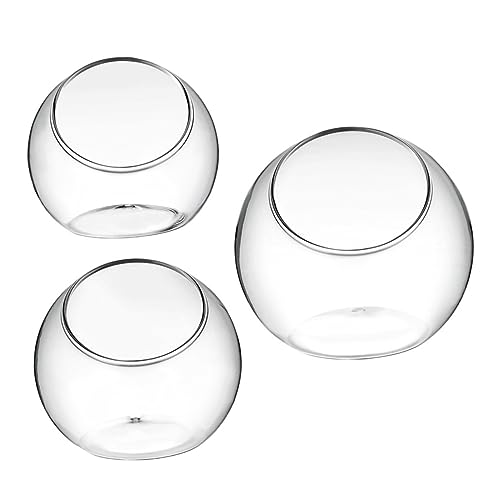 Homoyoyo 3 Stück Teiliges Terrarium mit Schräger Form Transparentes Landschaftsgefäß Dekoratives Pflanzgefäß für Sukkulenten und Luftpflanzen Modernes Micro Landschaftsdisplay von Homoyoyo