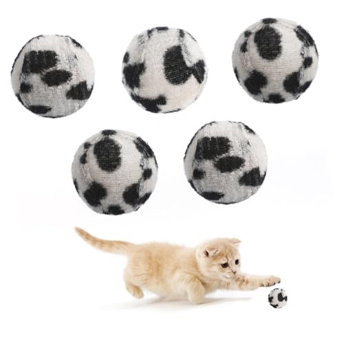 Homoyoyo 5 Stück Katze Fangball Ballspielzeug für Katzen Interaktiver Ball für Katzenspielzeug Schaum Mini katzenschere Krallen katzenkralle Bälle für Katzen Katzen-Tennisball- Homoyoyo 5 Stück Katze Fangball Ballspielzeug für Katzen Interaktiver Ball für Katzenspielzeug Schaum Mini katzenschere Krallen katzenkralle Bälle für Katzen Katzen-Tennisball- von Homoyoyo