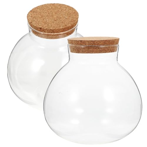 Homoyoyo Gläser Mit Deckel 2 Stück Ökologische Flasche Mikro-Landschaftsbau Pflanzenvermehrungsstation DIY-Korkflasche Korallenglas Aquarium Terrarium Vase Dekorativer Übertopf von Homoyoyo