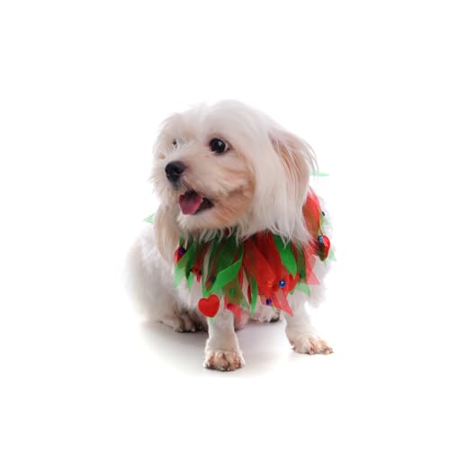 Homoyoyo Hundehalsband Weihnachten Für Hunde – Festliches Weihnachtsdesign Mit Weihnachtlichen Motiven - Ideal Für Die Feiertage - Bequem Und Langlebig Hund von Homoyoyo
