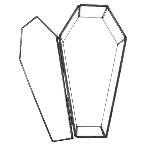 Homoyoyo Kleine Sarg-Terrarium-Box aus Glas: Sarg-Box, Gothic, Vintage, Glas, Schmuck, kleine Vintage-Vampir-Andenken-Vitrine für Halloween-Dekoration und Zuhause, Süßigkeitentablett, einzigartig Homoyoyo Kleine Sarg-Terrarium-Box aus Glas: Sarg-Box, Gothic, Vintage, Glas, Schmuck, kleine Vintage-Vampir-Andenken-Vitrine für Halloween-Dekoration und Zuhause, Süßigkeitentablett, einzigartig von Homoyoyo