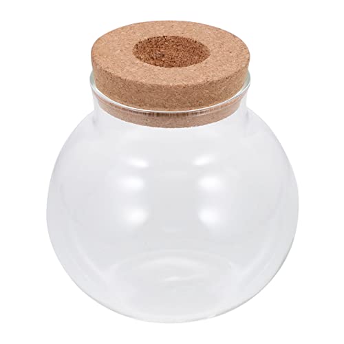 Homoyoyo Landschaftsflasche für Moos und Pflanzen Dekorationsbehälter für Aquarien und DIY Projekte für Schlafzimmer Wohnzimmer und Transparent und Vielseitig Einsetzbar Homoyoyo Landschaftsflasche für Moos und Pflanzen Dekorationsbehälter für Aquarien und DIY Projekte für Schlafzimmer Wohnzimmer und Transparent und Vielseitig Einsetzbar von Homoyoyo