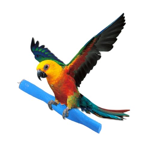 Homoyoyo Langschwänzige Vögel - Kletter- Und Schaukelspielzeug Für Papageien Sittiche Und Conures in Zufälligen Farben Größe L Fördert Das Training Und Die Aktivität Ihres Gefiederten von Homoyoyo