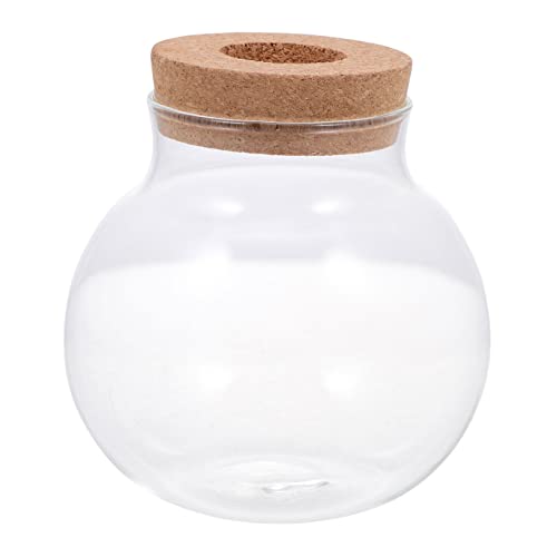 Homoyoyo Miniatur Glasvasen Für Mikropflanzen Und Sukkulenten – Dekorative Aquarienflasche Für Blumen Und Moos - Ideal Für Kreative DIY-Projekte Und Stilvolle Tischdekoration Homoyoyo Miniatur Glasvasen Für Mikropflanzen Und Sukkulenten – Dekorative Aquarienflasche Für Blumen Und Moos - Ideal Für Kreative DIY-Projekte Und Stilvolle Tischdekoration von Homoyoyo