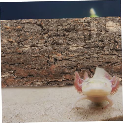 Homoyoyo Natürliche Korkrinde Aquarium Hintergrundplatte Leichtes Terrarium für Fisch und Reptilienbecken Baumrinde Deko für Aquarien Schildkröten und Eidechsen von Homoyoyo