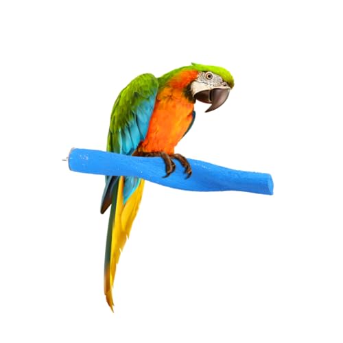 Homoyoyo Peeling-Stick Käfige Papagei Vögel Mahlen Stehen Vogelkäfig Barsch Bimsstein Haustier geschliffen Sandstein Mahlen Vögel Stehen Käfigzubehör Vogelbarsch Hölzern Zufällige Farbe Homoyoyo Peeling-Stick Käfige Papagei Vögel Mahlen Stehen Vogelkäfig Barsch Bimsstein Haustier geschliffen Sandstein Mahlen Vögel Stehen Käfigzubehör Vogelbarsch Hölzern Zufällige Farbe von Homoyoyo