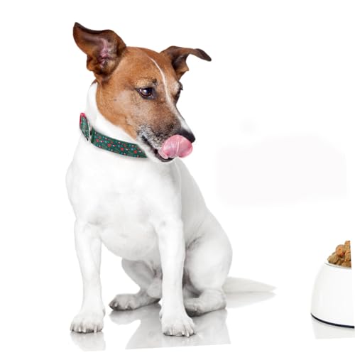 Homoyoyo Weihnachtliches Hundehalsband Verstellbar mit Schnellverschluss Leichtes Haustierhalsband für Kleine Hunde Komfortables Xmas Kragen Accessoire Grün Homoyoyo Weihnachtliches Hundehalsband Verstellbar mit Schnellverschluss Leichtes Haustierhalsband für Kleine Hunde Komfortables Xmas Kragen Accessoire Grün von Homoyoyo