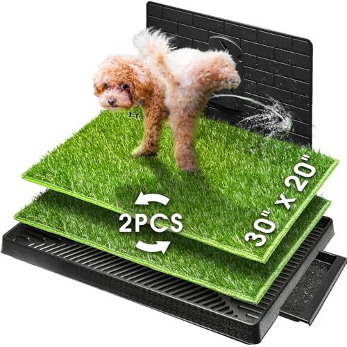 Hompet Hundeklo Hundetoilette Welpentoilette Trainingsunterlage, 2 PCS künstliche Grastrainingspads Indoor Hundetöpfchen, Hunde Training Rasenmatte für Kleine Hunde Grosse Hunde ältere (76 x 51 cm) Hompet Hundeklo Hundetoilette Welpentoilette Trainingsunterlage, 2 PCS künstliche Grastrainingspads Indoor Hundetöpfchen, Hunde Training Rasenmatte für Kleine Hunde Grosse Hunde ältere (76 x 51 cm) von Hompet