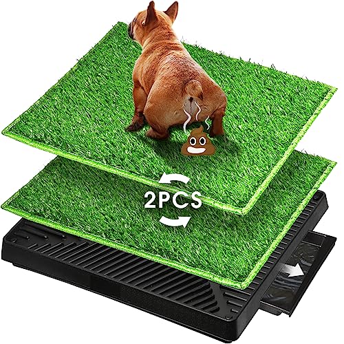 Hompet Hundeklo Hundetoilette Welpentoilette Trainingsunterlage, Indoor Hundetöpfchen, 2 PCS Hunde Training Rasenmatte für Kleine Hunde Grosse Hunde ältere 63 x 51 x 7cm Hompet Hundeklo Hundetoilette Welpentoilette Trainingsunterlage, Indoor Hundetöpfchen, 2 PCS Hunde Training Rasenmatte für Kleine Hunde Grosse Hunde ältere 63 x 51 x 7cm von Hompet