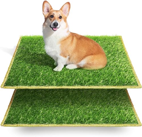Hompet Hundeklo Hundetoilette Welpentoilette Trainingsunterlage, Indoor Hundet枚pfchen, Hunde Training Rasenmatte f眉r Kleine Hunde Grosse Hunde 盲ltere 63 x 51 x 7cm (2PCS-gr盲ser) von Hompet