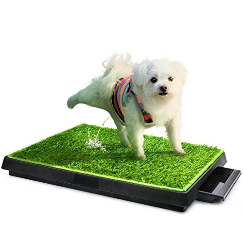 Hompet Hundeklo Hundetoilette Welpentoilette Trainingsunterlage, Indoor Hundetöpfchen, Hunde Training Rasenmatte für Kleine Hunde Grosse Hunde ältere 63 x 51cm Hompet Hundeklo Hundetoilette Welpentoilette Trainingsunterlage, Indoor Hundetöpfchen, Hunde Training Rasenmatte für Kleine Hunde Grosse Hunde ältere 63 x 51cm von Hompet