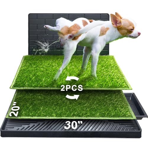 Hompet Hundeklo Hundetoilette Welpentoilette für Innen-oder Veranda, 2 Pcs Trainingsunterlage, Wiederverwendbares Hundegraspolster mit Tablett, Tragbare Hundedrüsenbox für kleine/Mittlere Hunde Hompet Hundeklo Hundetoilette Welpentoilette für Innen-oder Veranda, 2 Pcs Trainingsunterlage, Wiederverwendbares Hundegraspolster mit Tablett, Tragbare Hundedrüsenbox für kleine/Mittlere Hunde von Hompet