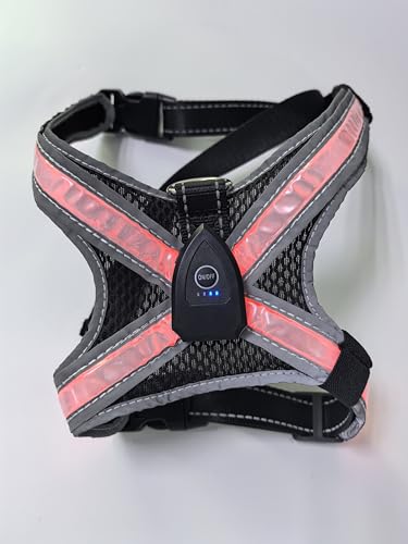 LED Leuchtgeschirr für Hunde - Wiederaufladbar & Reflektierend Hundegeschirr, 3-Lagiges Air Mesh für Atmungsaktivität & Komfort, Verstellbar für Alle Größen (S, M, L), Nachtsicherheit für Spaziergänge von Homrich