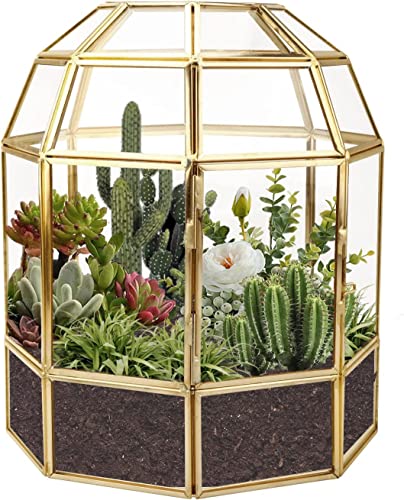 Homtone 18 cm Großer Geometrischer Terrarium-Pflanzgefäß, Vogelkäfig-Form, Handgefertigte Glasbox, Vintage-Tischplatte, Miniatur-Blumentopf für Sukkulenten, Kakteen (Golden) von Homtone