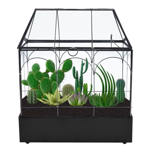 Homtone 24cm Geometrische Terrarium Pflanzer mit Tablett, Haus Form Schwarz Handgemachte Glasbox, Vintage Tischplatte Miniatur Blumentopf für Sukkulent, Kakteen, Luft Pflanzen, Schwarz Homtone 24cm Geometrische Terrarium Pflanzer mit Tablett, Haus Form Schwarz Handgemachte Glasbox, Vintage Tischplatte Miniatur Blumentopf für Sukkulent, Kakteen, Luft Pflanzen, Schwarz von Homtone
