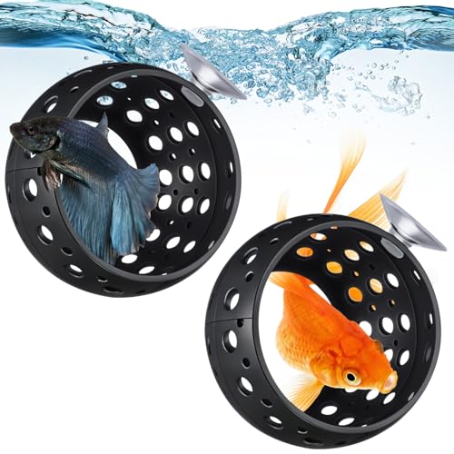 Honeydak Betta-Glühbirnenversteck, Betta-Aquarium-Ornament, Zubehör, Fischspielzeug, Hängematte, Aquarium-Höhle mit Saugnapf für sicheres, hohles kleines Aquarium, Lebensraum, Garnelenversteck und Honeydak Betta-Glühbirnenversteck, Betta-Aquarium-Ornament, Zubehör, Fischspielzeug, Hängematte, Aquarium-Höhle mit Saugnapf für sicheres, hohles kleines Aquarium, Lebensraum, Garnelenversteck und von Honeydak