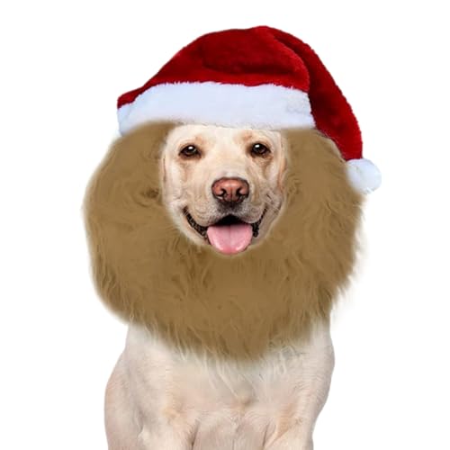 Hund Weihnachtshut | Hund Christmashut Roter Tierhut,Tierkostüm Weihnachtsoutfit Winterfest Kinder Familie Mädchen Festtage von Honhoha