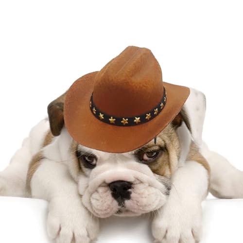 Katzen Cowboyhut,Tier Cowboy Kostüm Hut | Für Western Mottopartys Halloween Festtagszubehör Hund Katze von Honhoha