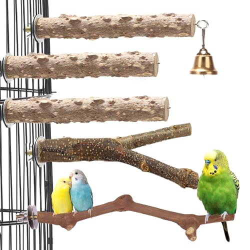 Honicemar Holz Vogelkäfig Sitzstangen Set - 5 Stück Vogelkäfig Zubehör mit Mehrzweig Sitzstange, Gerader Sitzstange für Kleine bis Mittelgroße Papageien zur Förderung von Bewegung Mentaler Gesundheit Honicemar Holz Vogelkäfig Sitzstangen Set - 5 Stück Vogelkäfig Zubehör mit Mehrzweig Sitzstange, Gerader Sitzstange für Kleine bis Mittelgroße Papageien zur Förderung von Bewegung Mentaler Gesundheit von Honicemar