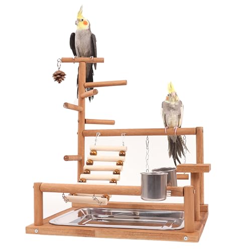 Honicemar Vogelspielplatz – Holz Papageienständer, Wellensittich Spielplatz mit Leiter, Schaukel, Feeder-Cup, Tablett und Kauspielzeug Haustier Übungsspiel Gym Ständer für Kleine bis Mittelgroße Vögel von Honicemar