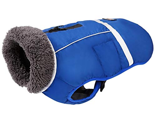 Honmao Warme Hundekleidung für große Hunde, gepolsterte Winterjacke Weste, wasserdicht, reflektierend und warm, Größe XL (Brustumfang: 64-96 cm, Länge: 52,8 cm), Blau von Honmao