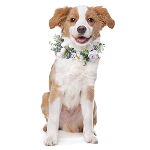 Honoson Hundehalsband mit Blumenmotiv, Hochzeits-Outfit, Blumenhalsbänder, Kleidung, Blumenkranz, Haustier-Foto-Requisite, Hochzeitszubehör für Welpen, Katzen, weiblich, männlich, Größe L Honoson Hundehalsband mit Blumenmotiv, Hochzeits-Outfit, Blumenhalsbänder, Kleidung, Blumenkranz, Haustier-Foto-Requisite, Hochzeitszubehör für Welpen, Katzen, weiblich, männlich, Größe L von Honoson