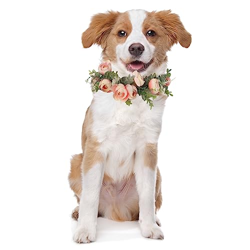Honoson Hundehalsband mit Blumenmotiv, für Hunde, Rosa, Blumenkranz, Schleife für weibliche Haustiere, Katzen, Hunde, Valentinstag, Party, Foto-Requisiten (klein) von Honoson