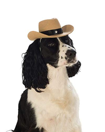 Horror-Shop Cooler brauner Cowboy-Hut für Hunde zu Fasching & Halloween M/L von Horror-Shop