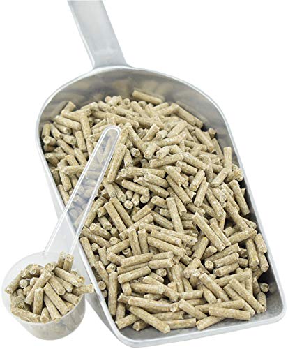 Scheidler horse-direkt Biotin 2000 pellettiert, Zink, Kupfer für Pferde, Ponys 3,8 kg Eimer von Scheidler horse-direkt