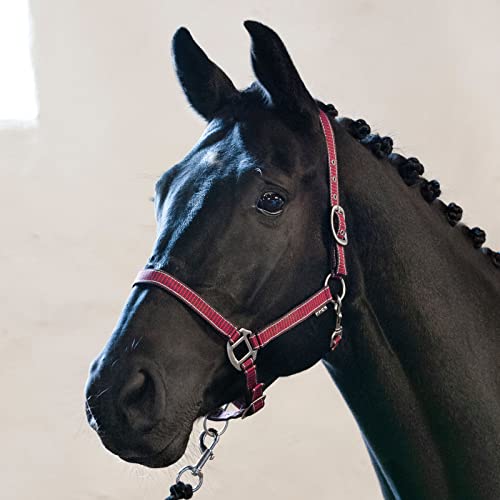 Horse Guard Rio Halfter - Korallenfarben - Mini-Shetty Horse Guard Rio Halfter - Korallenfarben - Mini-Shetty von Horse Guard
