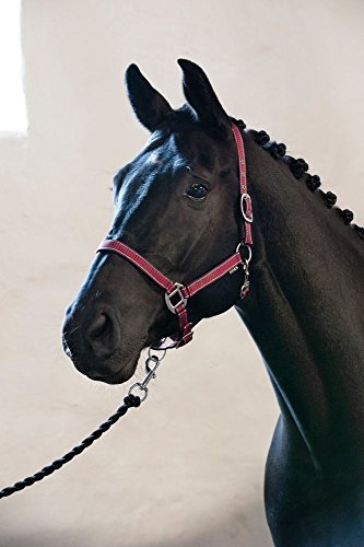 Horse Guard Rio Halfter - Korallenfarben - Shetty Horse Guard Rio Halfter - Korallenfarben - Shetty von Horse Guard