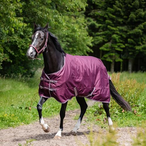 Horse Guard Turnout Pferdedecke Landon, 120D, 0 g - Pflaume - 115 cm Horse Guard Turnout Pferdedecke Landon, 120D, 0 g - Pflaume - 115 cm von Horse Guard