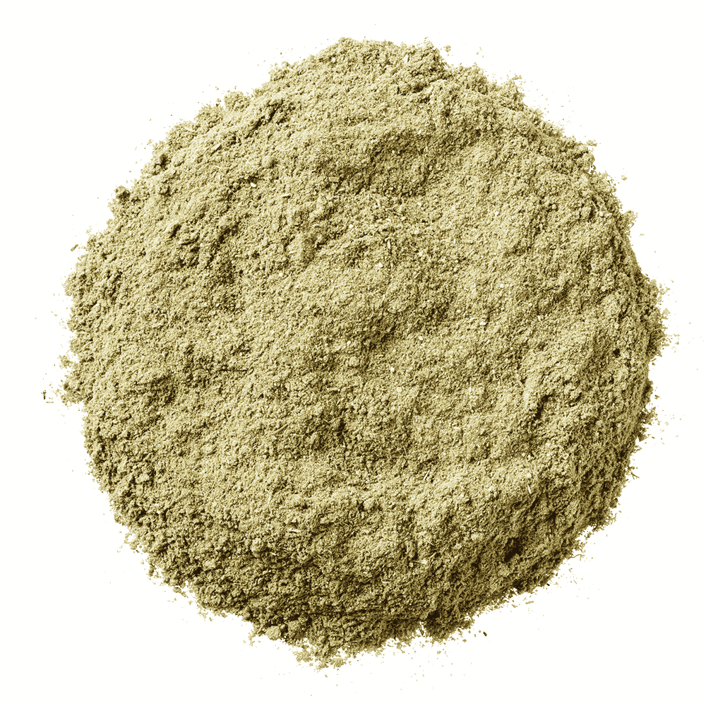 HorseFlex Magen Balance Nachfüllbeutel - 800 g HorseFlex Magen Balance Nachfüllbeutel - 800 g von HorseFlex