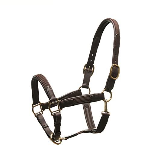 Horsecode Halfter Brown Gold WB von Horsecode