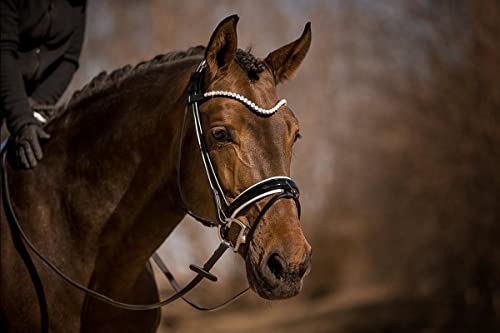 Horsecode Trense Moonlight Diamond W Warmblut von Horsecode