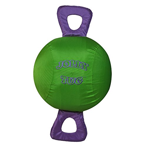 Horsemen's Pride JT14 G Jolly Tug Horse Spielzeug, 35,6 cm, Grün Horsemen's Pride JT14 G Jolly Tug Horse Spielzeug, 35,6 cm, Grün von Horsemen's Pride