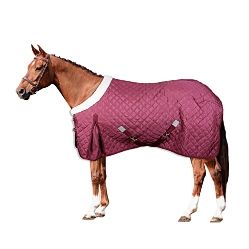 Horses, Stalldecke Quazar Move 160g, Hervorragend Verarbeitete Decke, Nützlich zum Schutz des Pferdes vor Temperaturschwankungen, Regen und Insekten (128 cm) von Horses