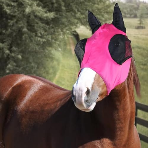 Horses, Fliegenmaske aus Lycra mit Netz Einsatz, Leichte und atmungsaktive Fliegenmaske, behindert Nicht das Sichtfeld des Pferdes, Augen- und Gehörschutz (Full, Rosa) von Horses