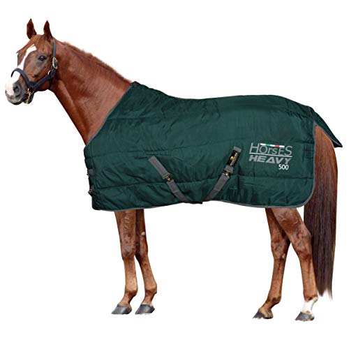 Horses, Heavy Winterdecke für Pferd 500gr, Gepolstert, Weich, Bequem, Ideal für Boxen, Widerstandsfähig, Grün, 145 cm Horses, Heavy Winterdecke für Pferd 500gr, Gepolstert, Weich, Bequem, Ideal für Boxen, Widerstandsfähig, Grün, 145 cm von Horses