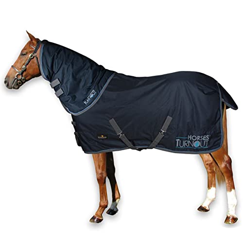 Horses, Pferdekoppeldecke Horses Turnout 200 gr, mit Abnehmbarem, Wasserdichtem, Widerstandsfähigem Nackenschutz, mit Kreuzgurten, 128 cm Horses, Pferdekoppeldecke Horses Turnout 200 gr, mit Abnehmbarem, Wasserdichtem, Widerstandsfähigem Nackenschutz, mit Kreuzgurten, 128 cm von Horses