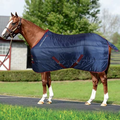 Horses, Stalldecke Essential 350gr, Hervorragend Verarbeitete Decke, Nützlich zum Schutz des Pferdes vor Temperaturschwankungen und Insekten (128 cm, Blau/Bordeaux) von Horses