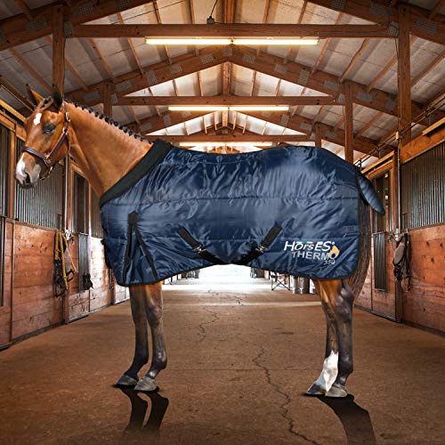 Horses, Winterdecke Für Pferde Thermo 350 gr, Ideal für Box, mit Rundhalsausschnitt und Quetschsicherem Schweifbezug, Weich, Bequem mit Frontschlitz (Blau, 135 cm) von Horses