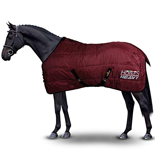 Horses, Winterdecke für Pferd Heavy 300g, Gepolstert, Weich, Bequem, Ideal für Boxen, Widerstandsfähig, mit Verstärkten Nylonkanten, Bordeaux, 128 cm Horses, Winterdecke für Pferd Heavy 300g, Gepolstert, Weich, Bequem, Ideal für Boxen, Widerstandsfähig, mit Verstärkten Nylonkanten, Bordeaux, 128 cm von Horses
