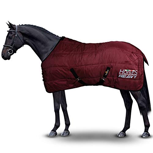 Horses, Winterdecke für Pferd Heavy 300g, Gepolstert, Weich, Bequem, Ideal für Boxen, Widerstandsfähig, mit Verstärkten Nylonkanten, Bordeaux, 128 cm von Horses