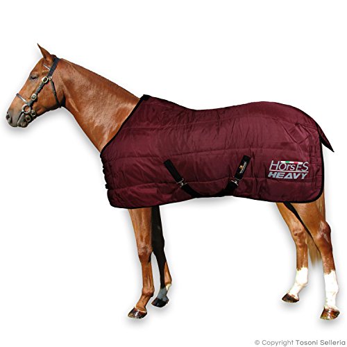 Horses, Winterdecke für Pferd Heavy 300g, Gepolstert, Weich, Bequem, Ideal für Boxen, Widerstandsfähig, mit Verstärkten Nylonkanten, Bordeaux, 135 cm von Horses