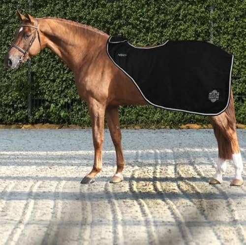 Horses Nierenschutz aus Artemisia-Fleece, weich, bequem und langlebig; verhindert Verletzungen und Verspannungen, hält die richtige Körperfeuchtigkeit aufrecht Horses Nierenschutz aus Artemisia-Fleece, weich, bequem und langlebig; verhindert Verletzungen und Verspannungen, hält die richtige Körperfeuchtigkeit aufrecht von Horses