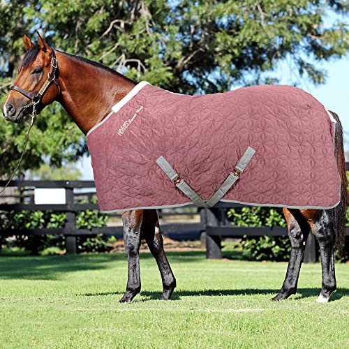 Horses Quazar Velvet 160 g Rosa 128 cm, hervorragende Verarbeitung, nützlich zum Schutz des Pferdes vor Temperatursprüngen von Horses