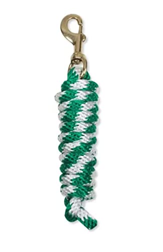 Nylon-Leine, zweifarbig, grün/weiß, aus Nylon und Metall, Griff aus flachem Nylon mit weichem Bezug, erhältlich in Blau, Königsblau, Rosa, Orange und Limettengrün Nylon-Leine, zweifarbig, grün/weiß, aus Nylon und Metall, Griff aus flachem Nylon mit weichem Bezug, erhältlich in Blau, Königsblau, Rosa, Orange und Limettengrün von Horses