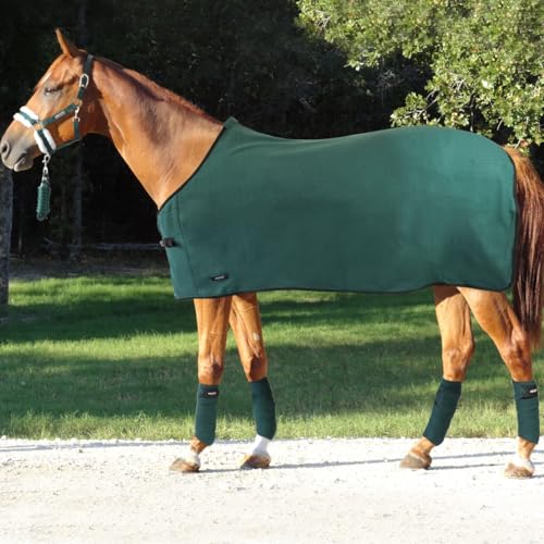 Set Decke, Halfter, Longhina, Stirnbänder, Pferdehalfter, Pferdelänge, vielseitige Pferdedecke, bequeme Arbeitsbänder für Equestri-Anforderungen (Grün, 120 cm) von Horses